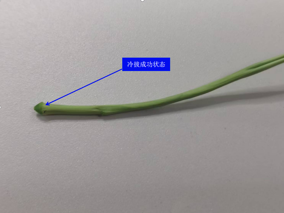10.冷拔成功.png